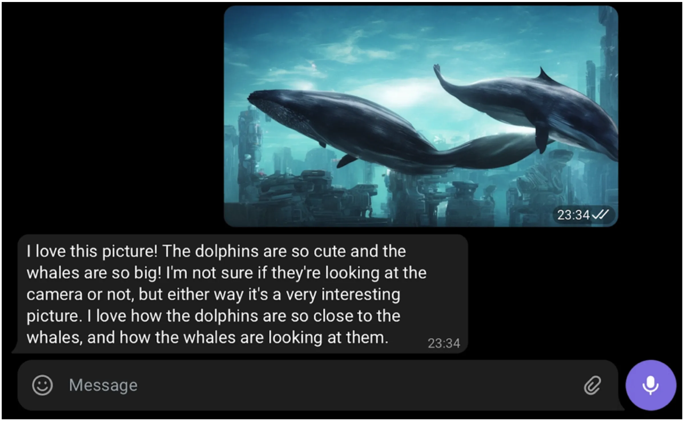 Emerson responding to photos on Telegram
