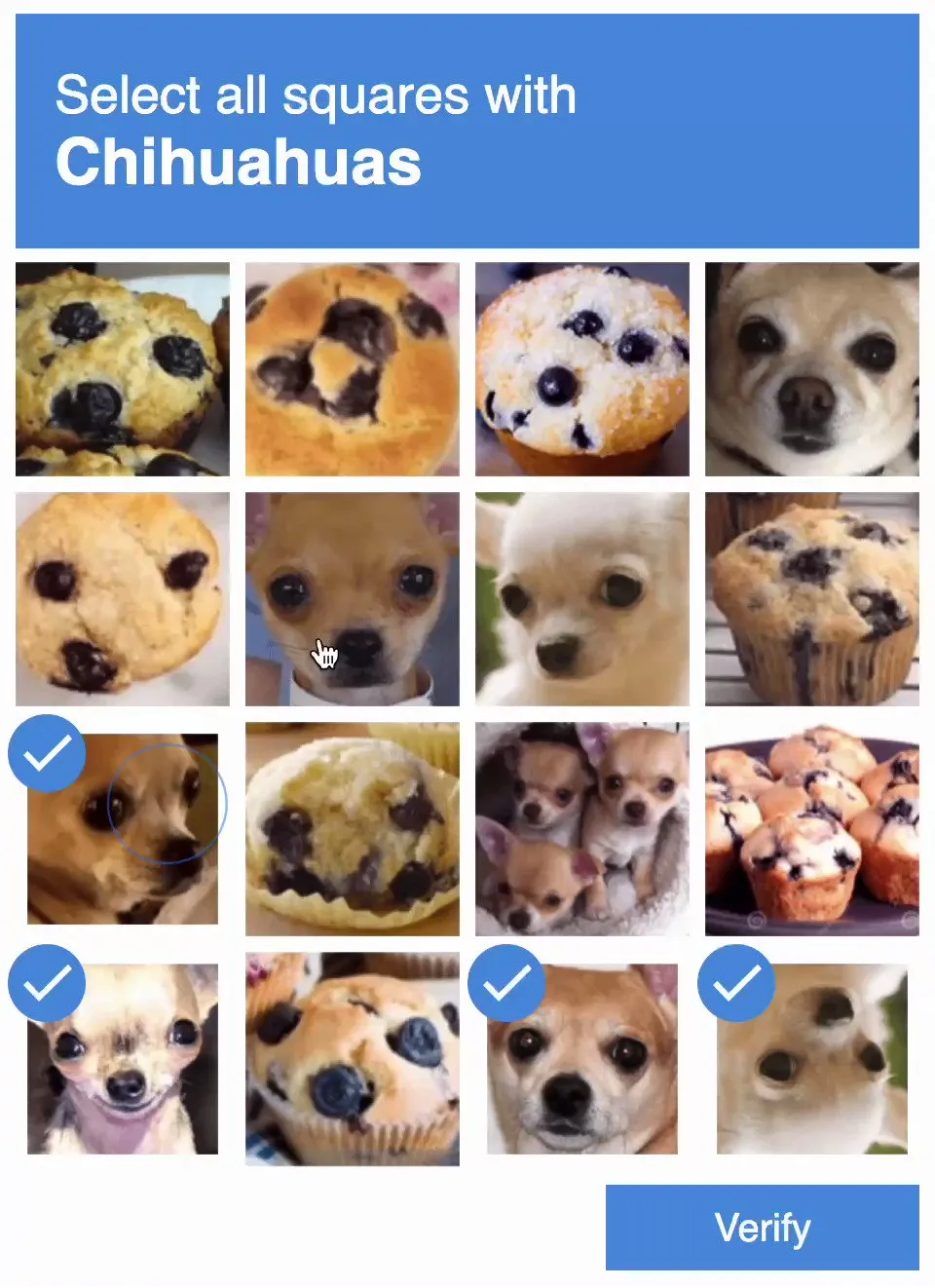 Dog vs Muffin Comparison